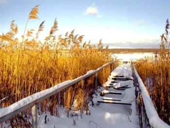 Фотография | Зимнее озеро под Вытегрой...