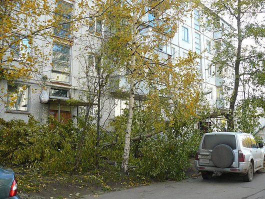 Катаклизмы природы 2011 в Вологодской области | Происшествия ДТП