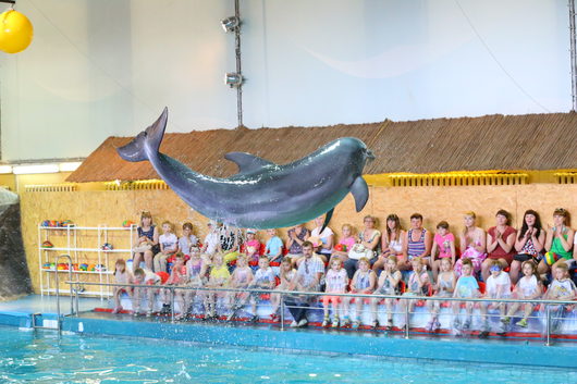 Дельфинарий и зоопарк Ярославля | Путешествия