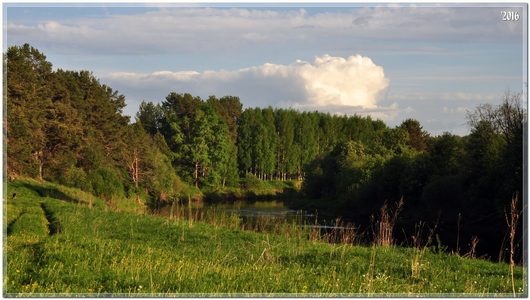 Природа нашего края (ФОТО) | с Тарногский Городок, река Кокшеньга