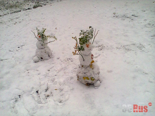 Природа нашего края (ФОТО) | нашествие снеговиков