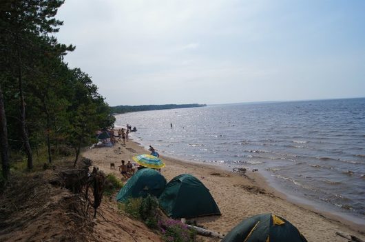 Где отдохнуть с палаткой на природе в Вологодской области? | Путешествия