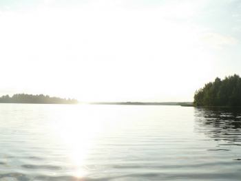 Водный мир | В конце июля неделю отдыхал на Бородаевском озере.