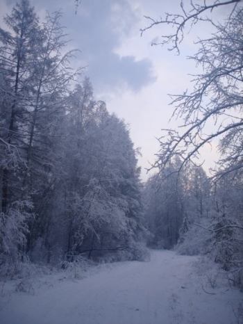 Шапка форума | Фотогалерея