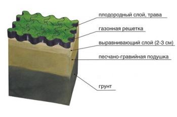 Парковка на газонах | Парковка