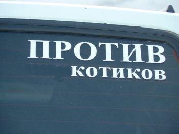 "Против наркотиков" кто они? | Общие вопросы безопасности