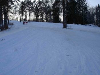 лыжные базы | Очищена широкая полоса для начинающих и .. снегоходов...