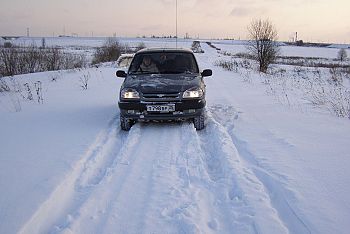 Наша жизнь | Решили проведать дачу