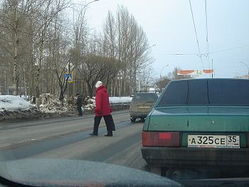 Пешеходы нарушители | До пешеходки всего-то 10 шагов, видно лень дойти. Пешеходный напротив Огорода на Ленинградской.