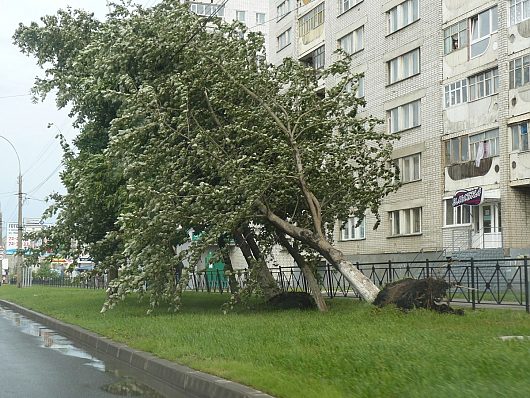 Катаклизмы природы 2010 в Вологодской области | там же - ул Ленинградская