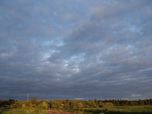 Природа нашего края (ФОТО) | После дождя.