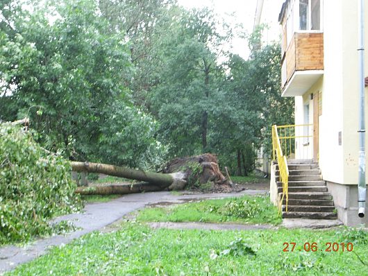 Катаклизмы природы 2010 в Вологодской области | далее