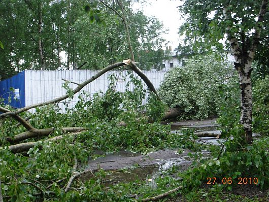 Катаклизмы природы 2010 в Вологодской области | другие фото оттуда же