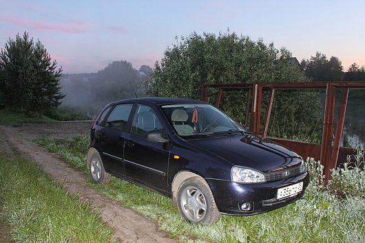 DelphiN - LADA Kalina 1.4 л 16 кл. 2008 г.в |  о)