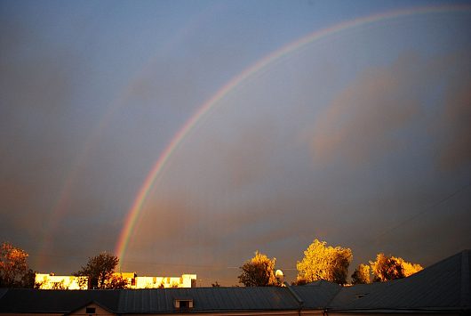 Природа нашего края (ФОТО) | Вологодская область