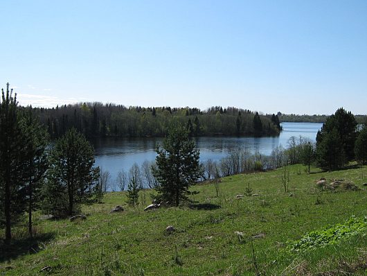 Природа нашего края (ФОТО) | Кумзеро, Харовский р-он