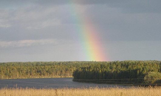 Природа нашего края (ФОТО) | Радуга в сентябре Вода вдали - озеро Яхреньгское, близ д Васильевское/б Двор, а/д М8, за Сямжей к северу.