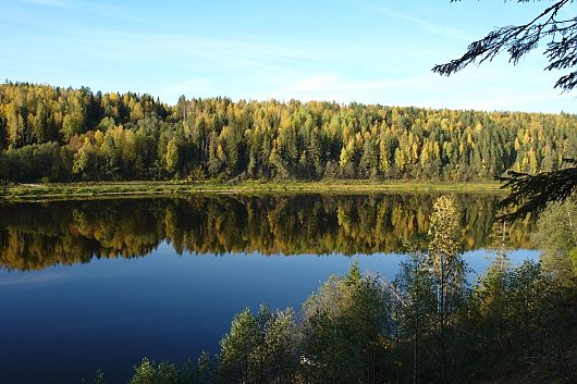 Природа нашего края (ФОТО) | Золотая осень Нюксенский район Река Сухона.