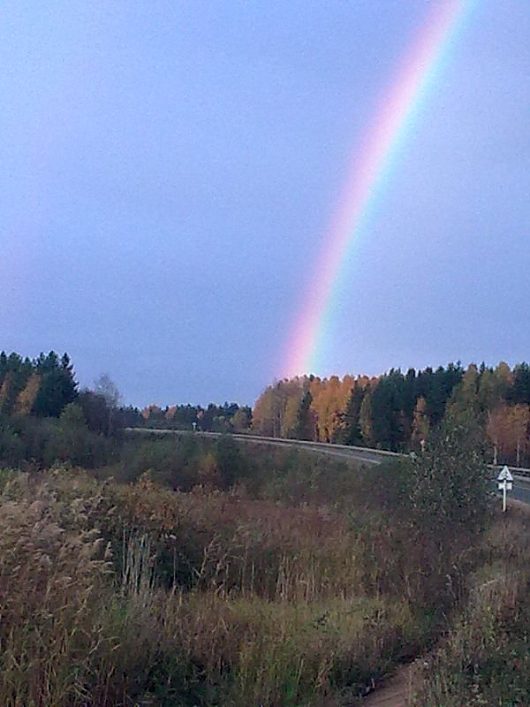 Природа нашего края (ФОТО) | вчера на закате