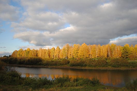 Природа нашего края (ФОТО) | парк мира