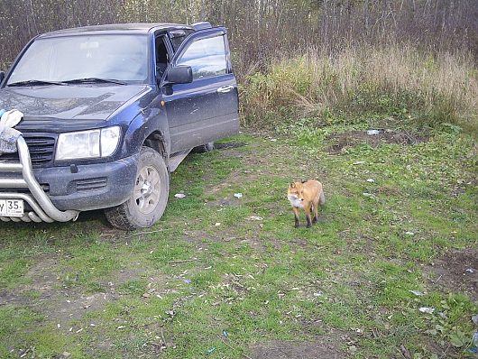 Фото наших автомобилей | это на рыбалке