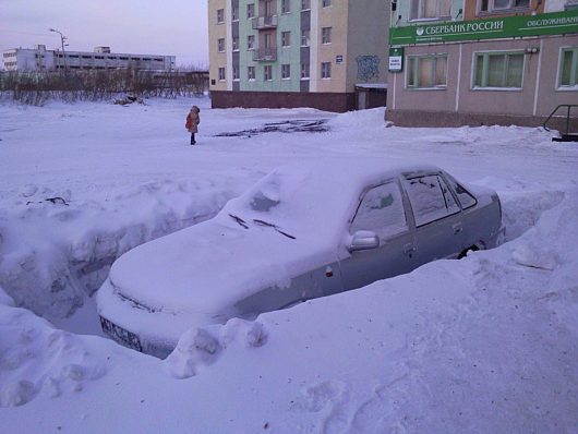 Вологда. "Подснежники" или бесхозные машины | ...