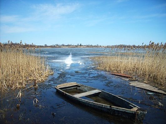 Природа нашего края (ФОТО) | весна (скорей бы)