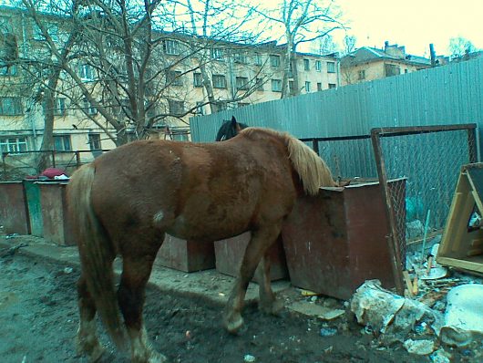 Удивительное рядом | Вот такой ужас творится во дворе у дома 53 по Гагарина...