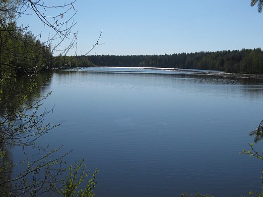 Природа нашего края (ФОТО) | Пошехонье, Р.Согожа