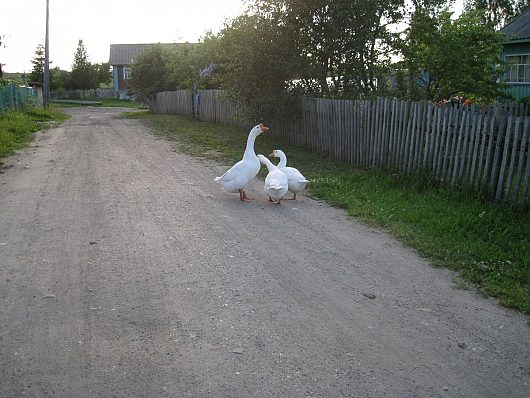 Фотография | Хобби