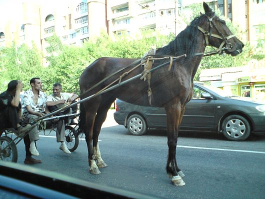 Удивительное рядом | Фотогалерея