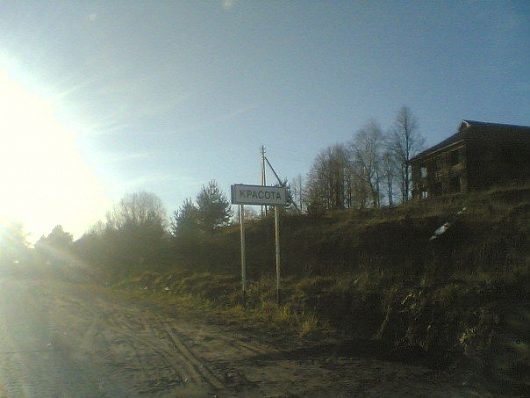 Необычные названия на дорогах ВО | Бабушкинский район по дороге в Никольск