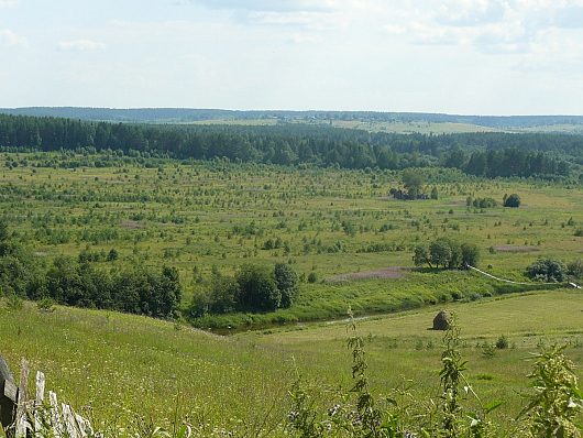 Природа нашего края (ФОТО) | урочище Александровская, Тарногский район