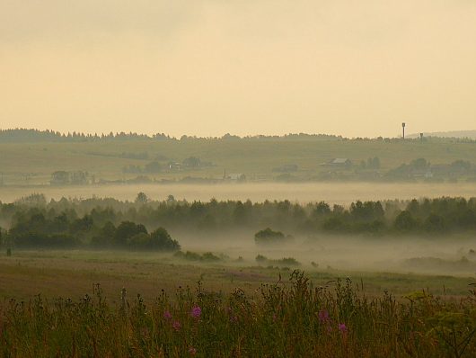 Природа нашего края (ФОТО) | предрассветный туман, Тарногский район