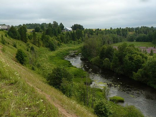 Природа нашего края (ФОТО) | р Уфтюга Тарногский район