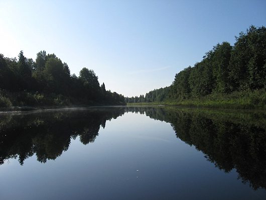 Природа нашего края (ФОТО) | Двиница