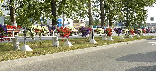 Вологда - цветущий город! | Пошехонское шоссе