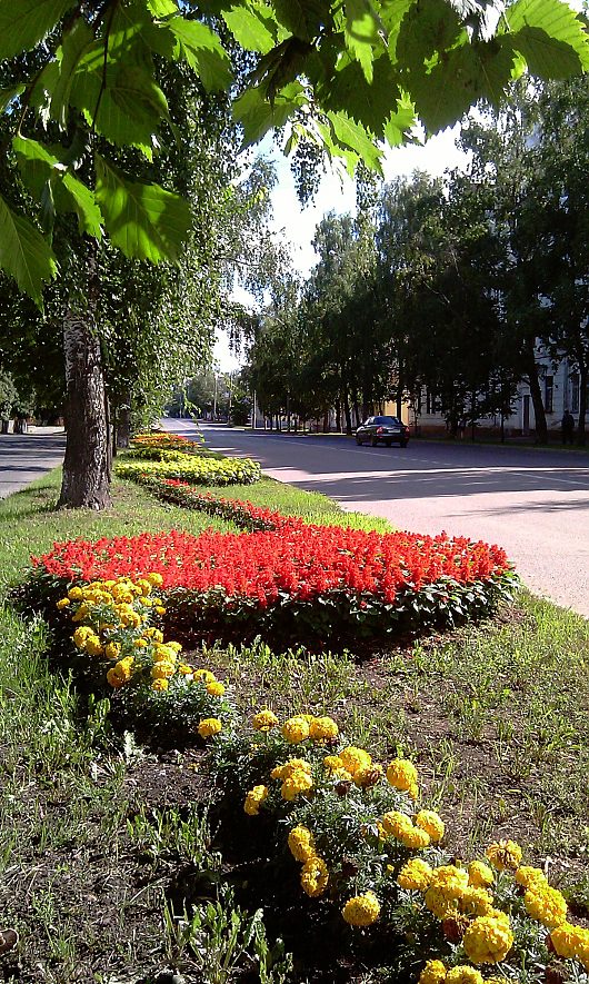 Вологда - цветущий город! | Вологодская область