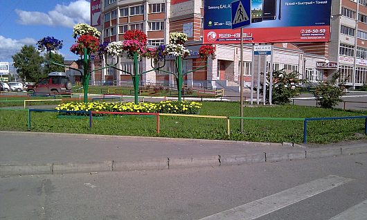Вологда - цветущий город! | Вологодская область