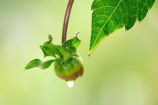 Фотография | Хобби