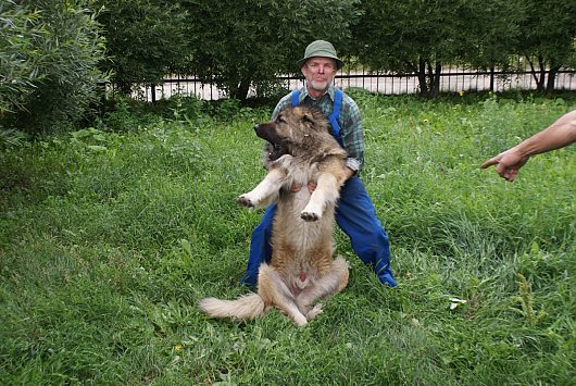 Звери и ... | Фотогалерея