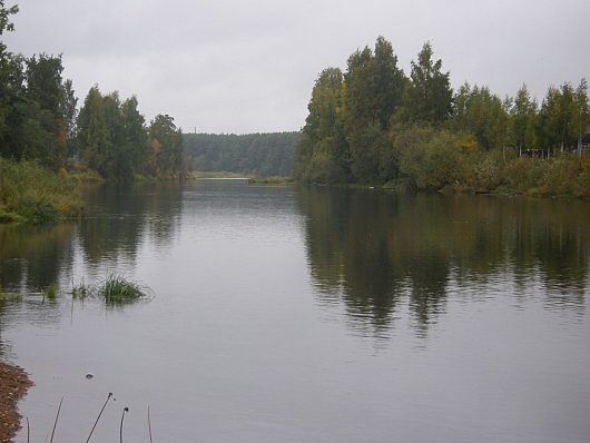 Природа нашего края (ФОТО) | Река Колпь в г Бабаево ВО Приток р Суда.