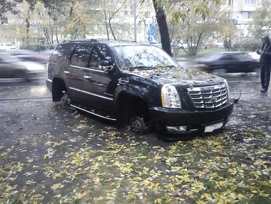 Фото наших автомобилей | большой и редкосный овосч