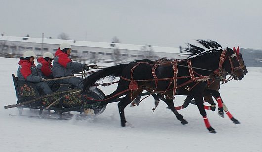 Автогонки на Празднике Коня. д.Еройфека Вологодского района 25 февраля 2012г | Автоспорт Вологодская область