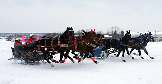 Автогонки на Празднике Коня. д.Еройфека Вологодского района 25 февраля 2012г | Автоспорт Вологодская область