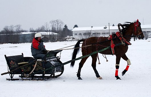 Автогонки на Празднике Коня. д.Еройфека Вологодского района 25 февраля 2012г | На ипподроме