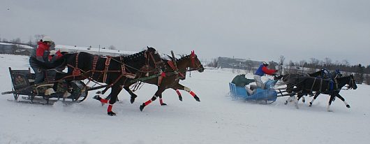 Автогонки на Празднике Коня. д.Еройфека Вологодского района 25 февраля 2012г | Автоспорт Вологодская область