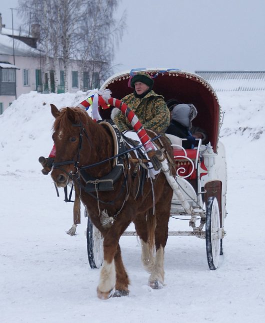 Автогонки на Празднике Коня. д.Еройфека Вологодского района 25 февраля 2012г | Детишки катаются