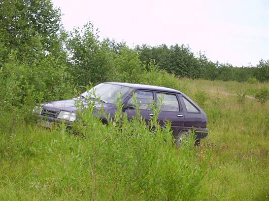 Фото наших автомобилей | Лета хочется...