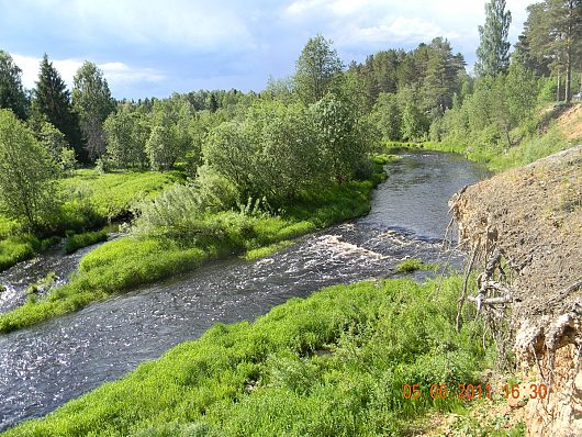 Природа нашего края (ФОТО) | р.Комела